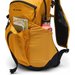 Plecak Blackcomb Ridge 30L Columbia - squash, blac