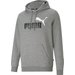 Bluza męska Essentials+ 2 Col Big Logo Hoodie Puma - szary