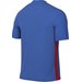 Koszulka męska DF Park Derby IV Jsy Nike - Royal Blue