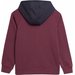 Bluza chłopięca 4FJAW23TSWSM651 4F - burgund