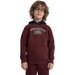 Bluza chłopięca 4FJAW23TSWSM651 4F - burgund