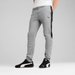 Spodnie dresowe męskie Evostripe Core Puma - Medium Gray Heather