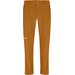 Spodnie trekkingowe męskie Puez Dolomitic Dst Design Salewa - golden brown