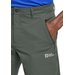 Spodenki męskie Pico Trail Jack Wolfskin - slate green