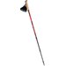 Kije nordic walking Kube Pro Viking
