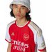 Koszulka męska Arsenal 23/24 Home Adidas