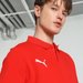 Koszulka męska polo teamGoal Casuals Polo Puma - czerwona