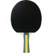 Rakieta do tenisa stołowego Team Master Joola