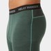 Legginsy termoaktywne męskie Lifa Merino Helly Hansen - jungle green