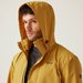 Kurtka męska Matt II Regatta - Mustard