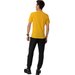 Spodnie trekkingowe męskie Pedroc Durastretch Wool Salewa - Black out
