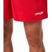 Spodenki plażowe męskie Beachshort Oakley - red line