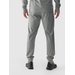 Spodnie dresowe męskie TFTRM681 4F - szary melanż