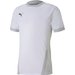 Koszulka męska Goal Jersey Puma - szara