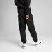 Spodnie dresowe męskie Essentials Woven Pants Puma