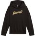 Bluza juniorska Ess+ Script Metallic Hoodie Jr Puma