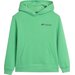 Bluza chłopięca TSWSM1229 4F - soczysta zieleń