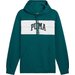 Bluza męska Squad Hoodie FL Puma - Cold Green