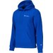 Bluza męska Small Logo Fleece Hoodie Champion