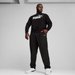 Bluza męska Essentials No.1 Logo Crew Puma - black