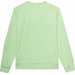 Bluza męska 4FWSS24TSWSM1009 4F - jasna zieleń