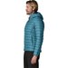 Kurtka puchowa męska Down Sweater Hoody Patagonia - glacial blue