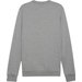 Bluza męska teamGoal Casuals Crew Neck Sweat Puma - szara