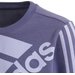 Bluza młodzieżowa Essentials Logo Sweatshirt Adidas