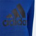 Bluza juniorska Essentials Hoodie Adidas