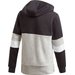 Bluza chłopięca Linear Colorbock Hooded Fleece Sweatshirt Adidas